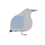 bird image